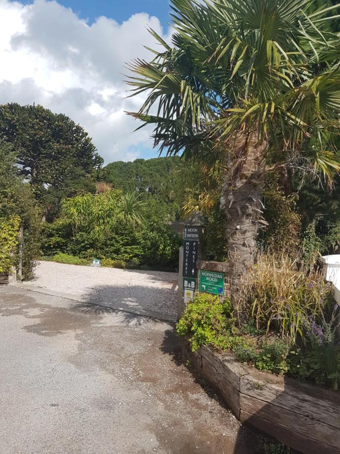 Norwegian Wood Hotel Paignton Exterior foto