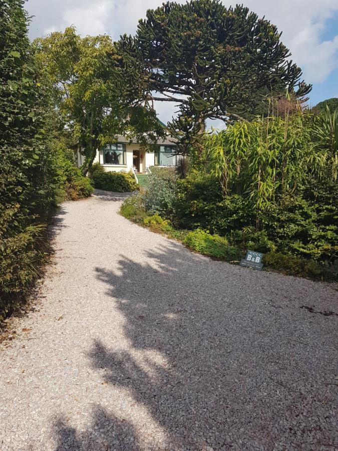 Norwegian Wood Hotel Paignton Exterior foto